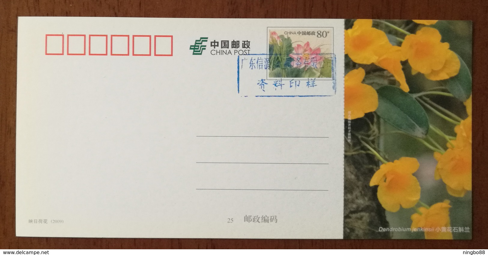 Den.jenkinsii Wall.,China 2013 Magical Xishuangbanna Wild Orchid Advertising Pre-stamped Card,specimen Overprint - Orchids