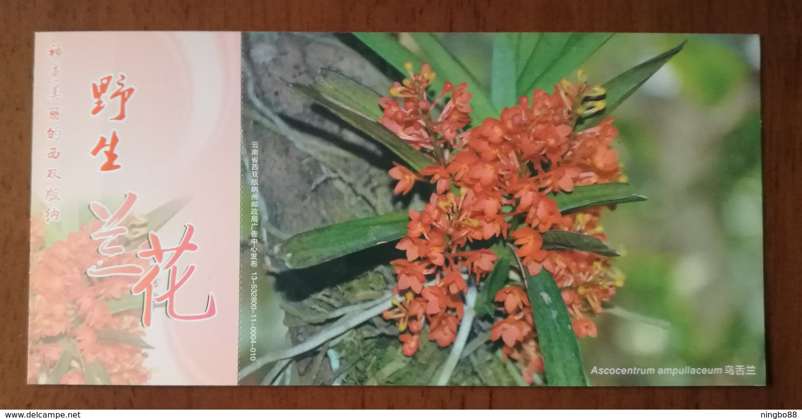 Ascocentrum Ampullaceum,China 2013 Magical Xishuangbanna Wild Orchid Advertising Pre-stamped Card,specimen Overprint - Orchids