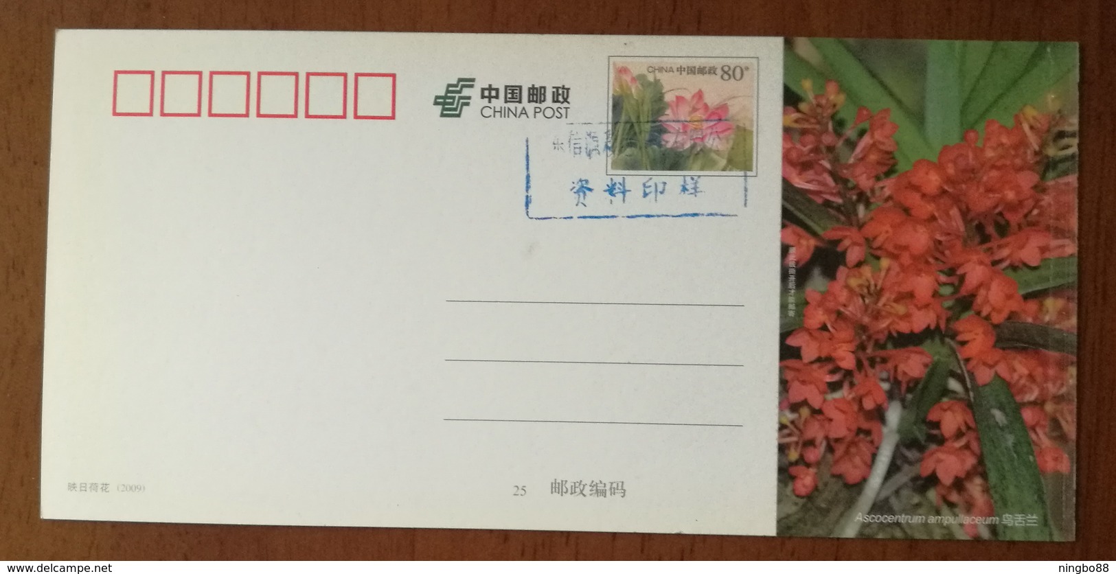 Ascocentrum Ampullaceum,China 2013 Magical Xishuangbanna Wild Orchid Advertising Pre-stamped Card,specimen Overprint - Orchids