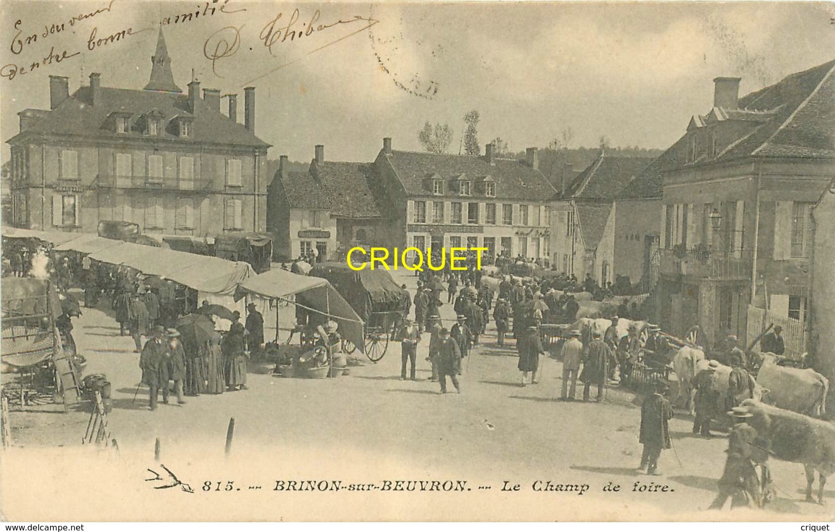 58 Brinon Sur Beuvron, Le Champ De Foire, Superbe Animation De Marché Aux Bestiaux, Affranchie 1904 - Brinon Sur Beuvron