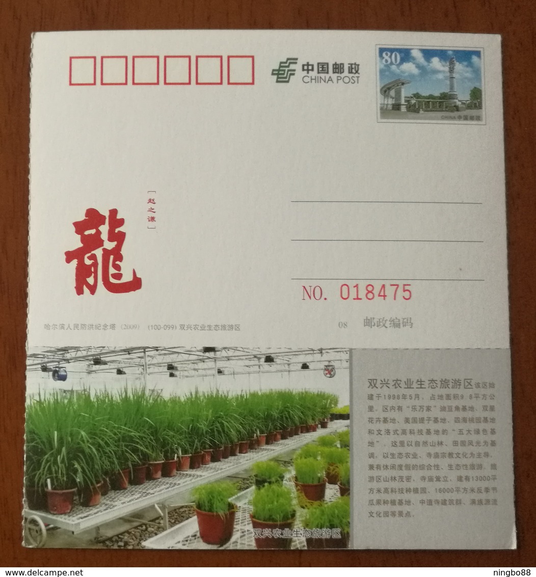 Greenhouse Moth Orchid,China 2010 Shuangxing Agricultural Ecotourism Area Advertising Pre-stamped Card - Orchids