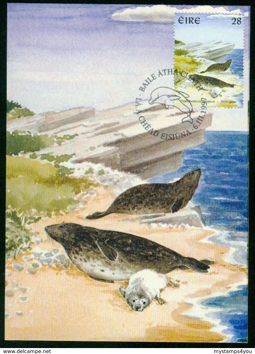 Mk Ireland Maximum Card 1997 MiNr 989 | Marine Mammals, Grey Seals - Cartes-maximum