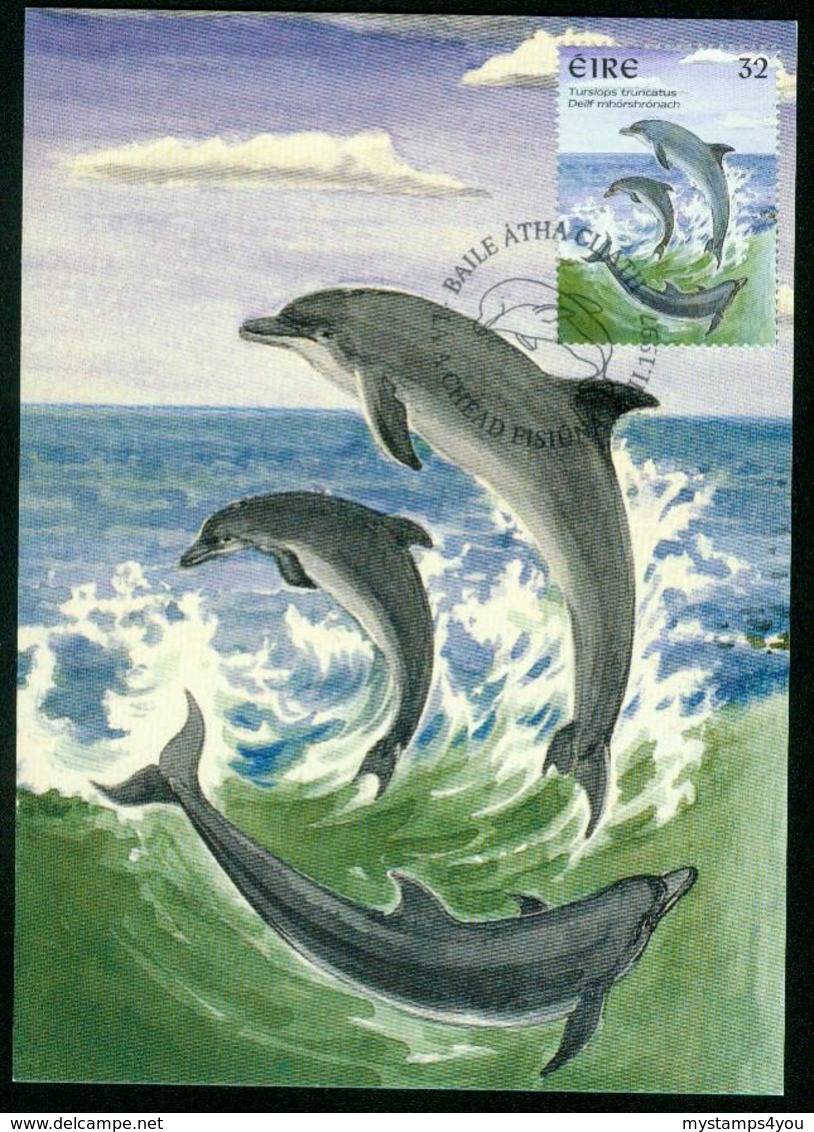 Mk Ireland Maximum Card 1997 MiNr 990 | Marine Mammals, Bottle-nosed Dolphins - Cartes-maximum