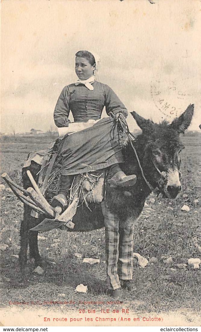 Ile De Ré.    17       Femme Agricultrice. En Route Pour Les Champs. Ane En Culotte            (voir Scan) - Ile De Ré