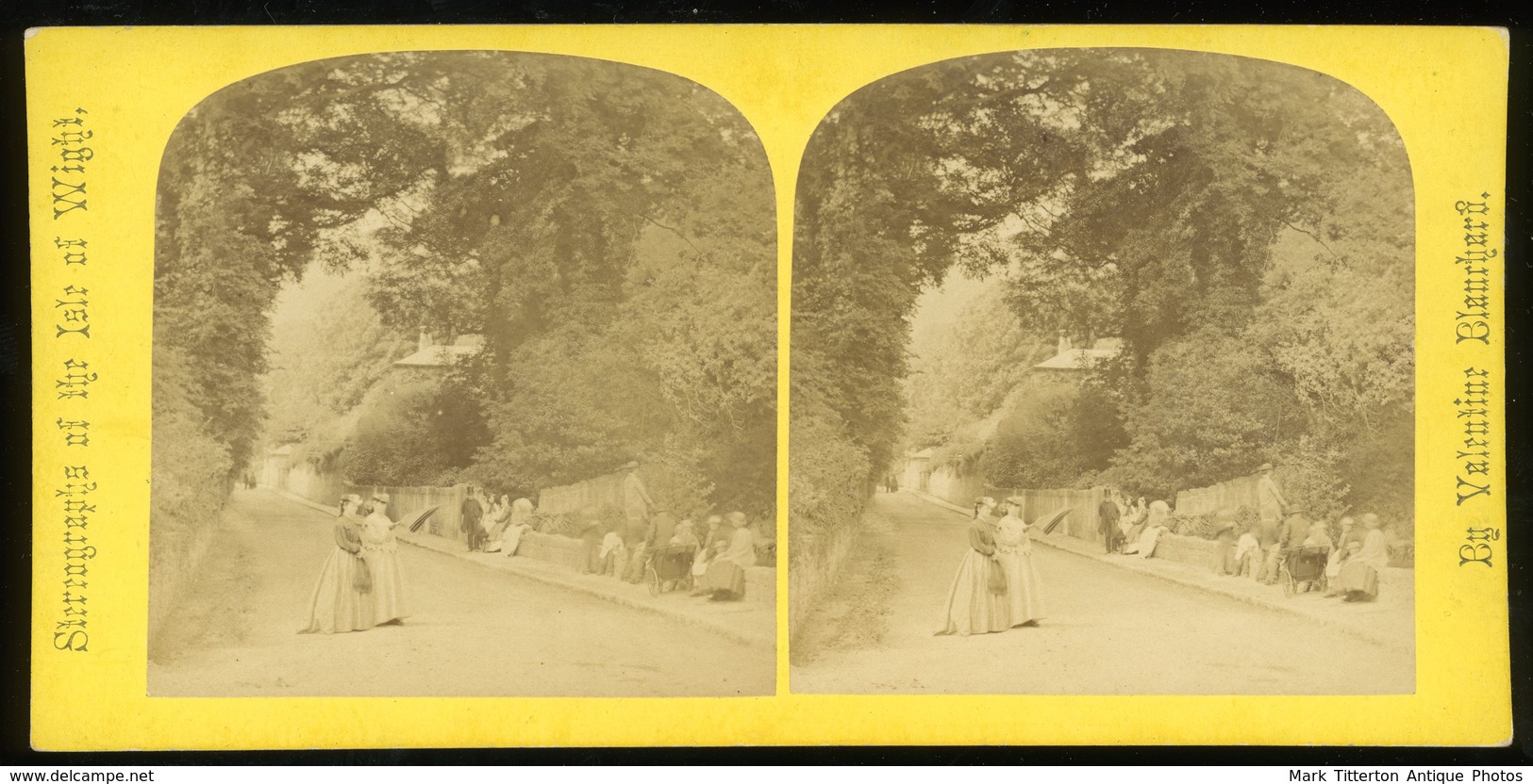 Stereoview - View Near Pond, Bonchurch, ISLE OF WIGHT - Stereoscopi