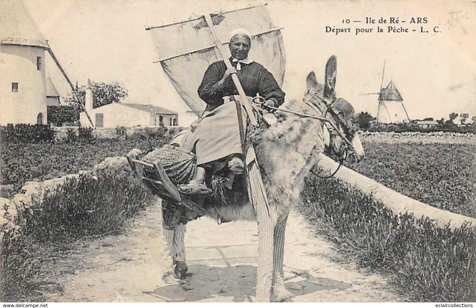 Ile De Ré.    17       Ars En Ré     Femme Départ Pour La Pêche. Ane En Culotte            (voir Scan) - Ile De Ré