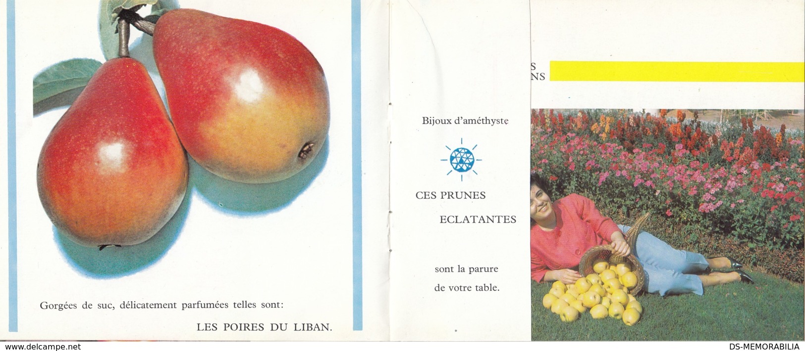 Lebanon Beyrouth Beirut Fruits De Liban Old Guide Brochure Depliant Prospect - Tourism Brochures
