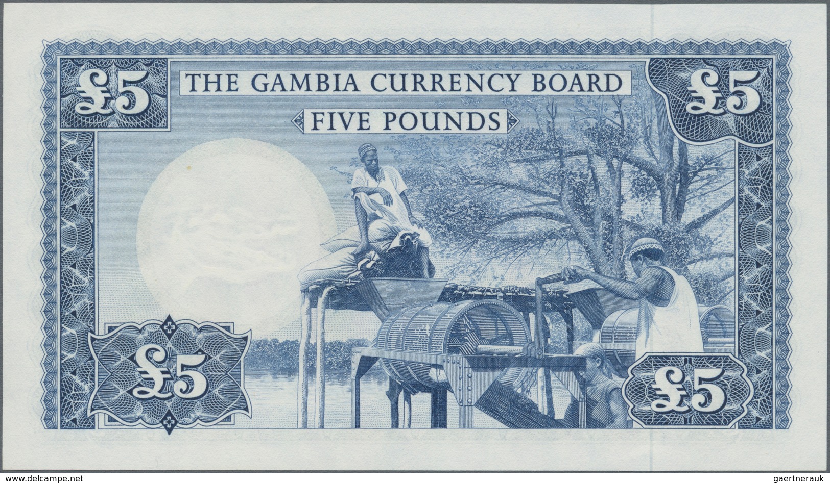 Gambia: The Gambia Currency Board 5 Pounds ND(1965-70), P.3 In Perfect UNC Condition. Rare! - Gambie