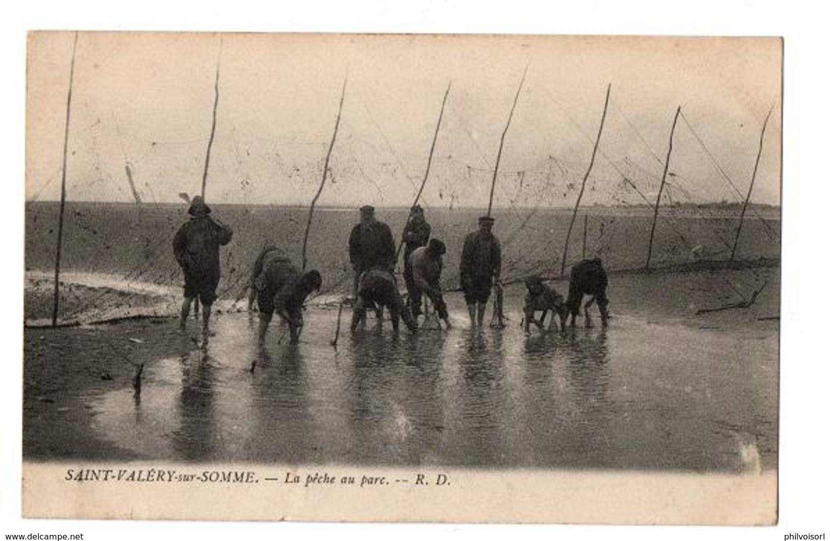 SAINT VALERY SUR SOMME UNE PECHE AU PARC TRES ANIMEE - Saint Valery Sur Somme