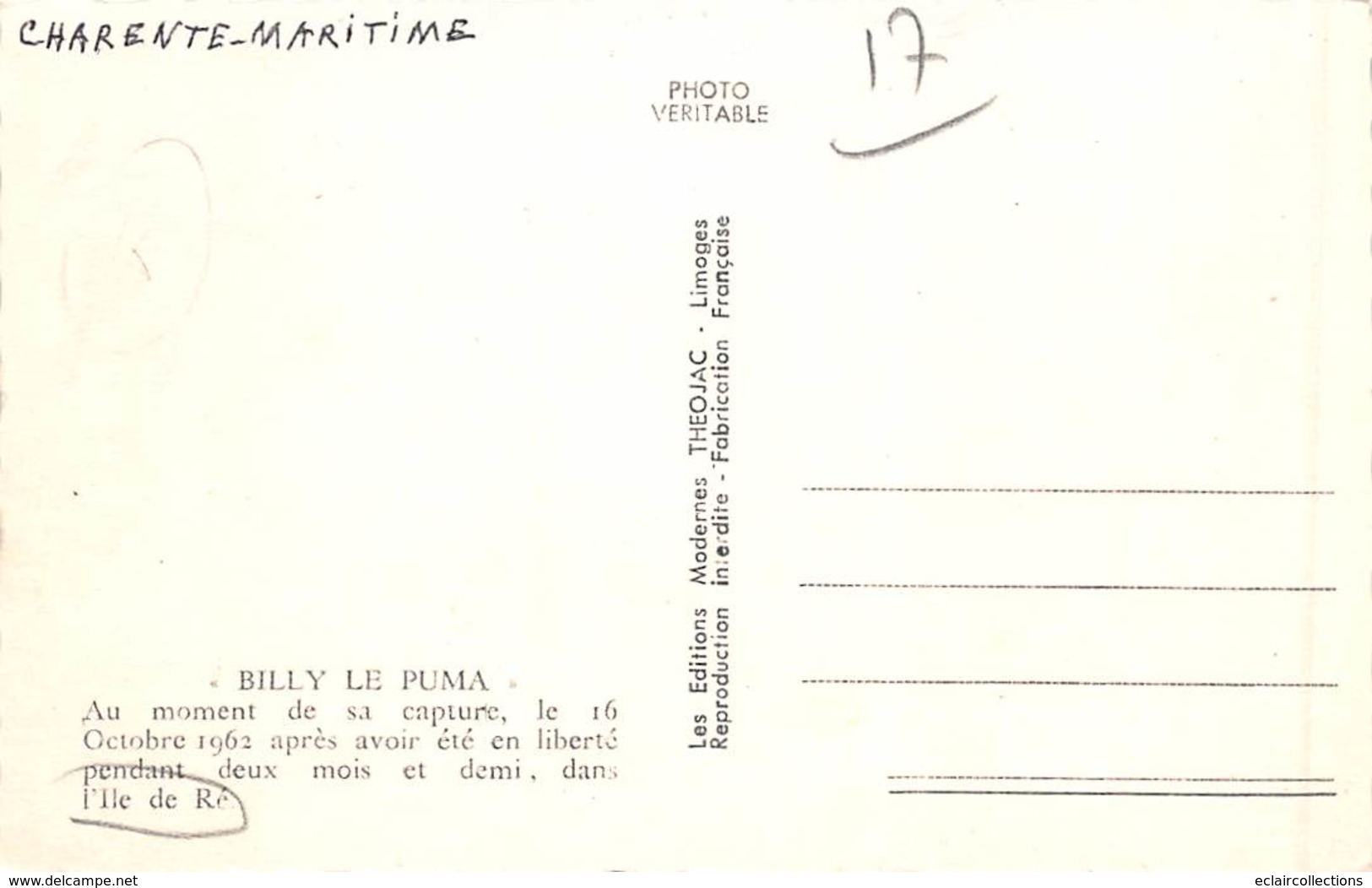 Ile De Ré.    17        Le Puma Billy Capturé En 1962     (voir Scan) - Ile De Ré