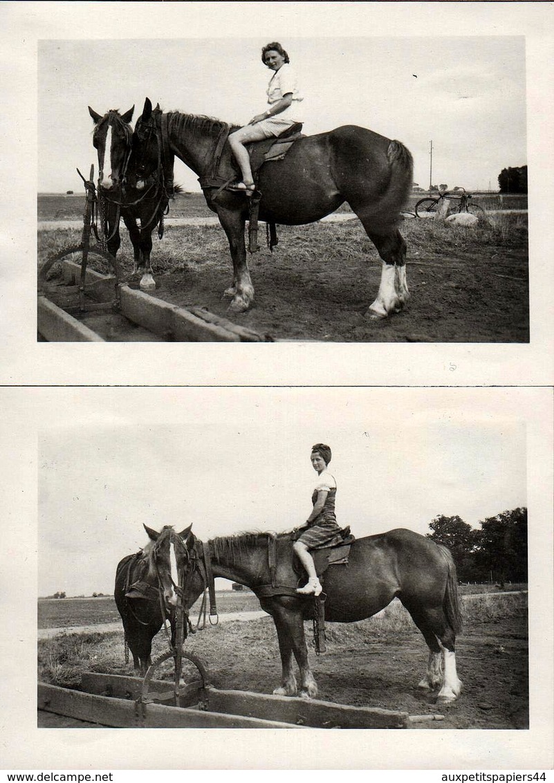 2 Photos Originales Equitation - 2 Cavalières Sur Même Monture à L'Arrêt Vers 1940 - Personnes Anonymes