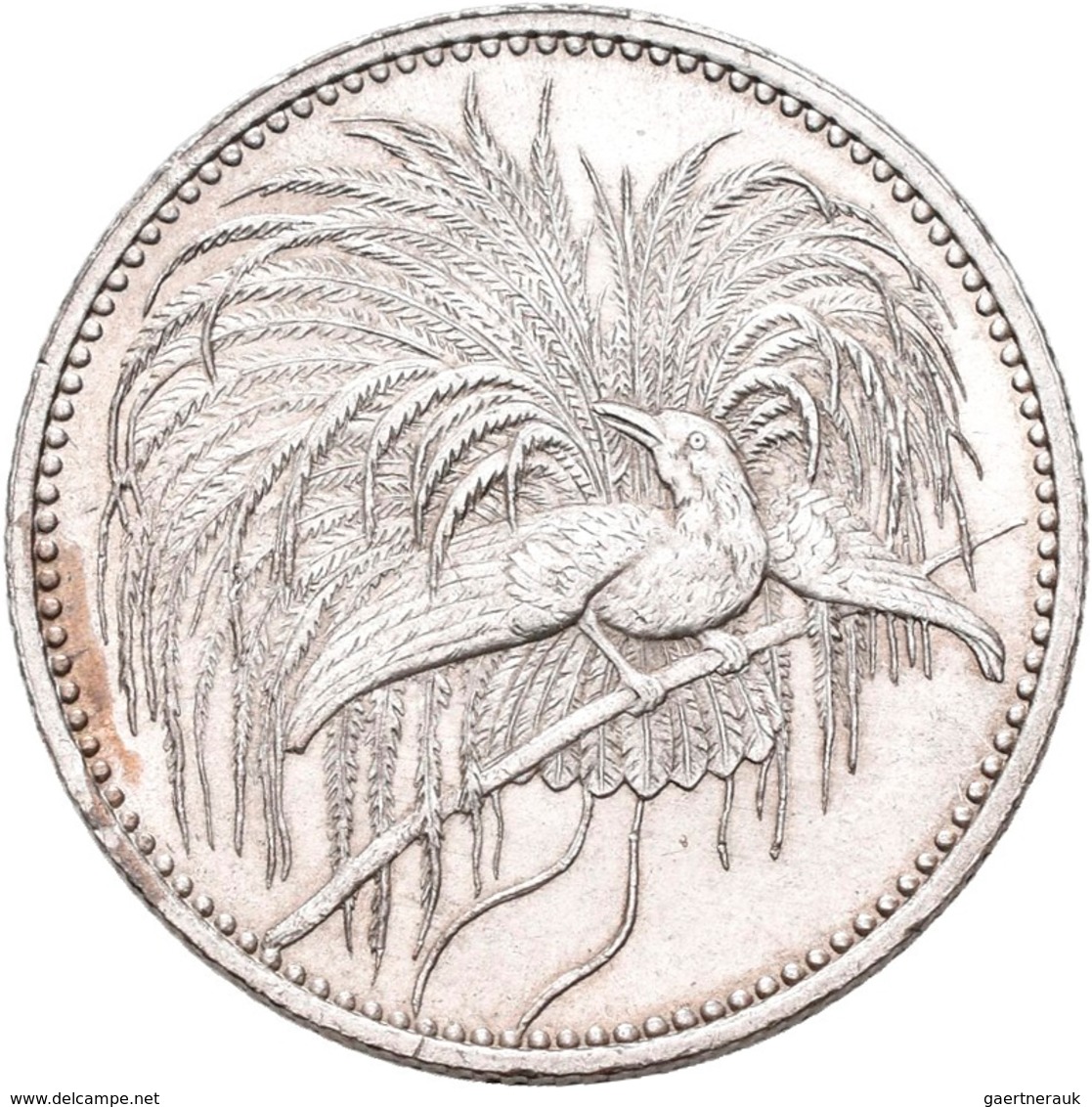 Deutsch-Neuguinea: ½ Neu-Guinea Mark 1894 A, Paradiesvogel, Jaeger 704, Feine Kratzer, Vorzüglich. - Duits Nieuw-Guinea