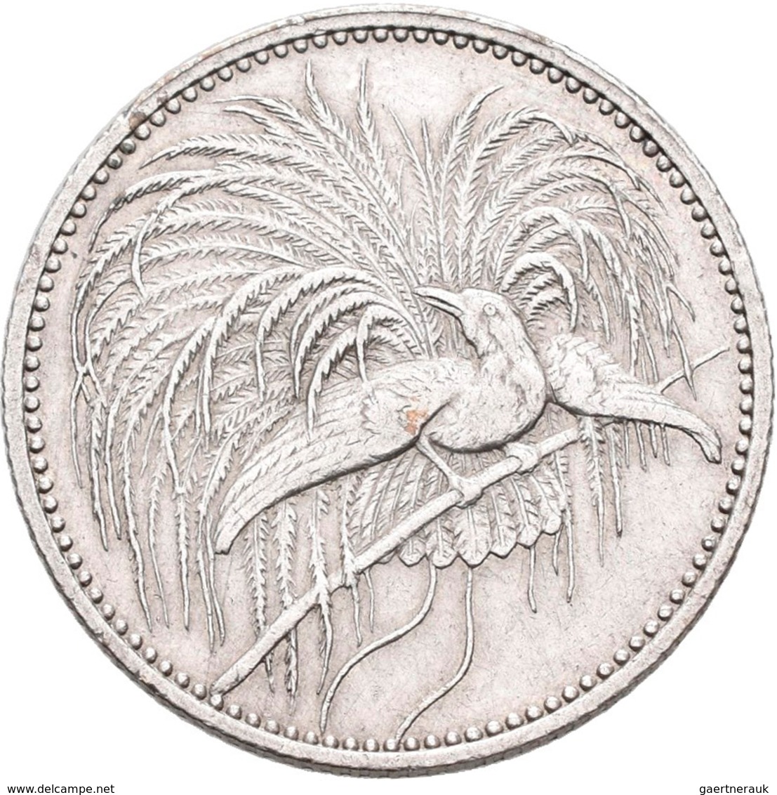 Deutsch-Neuguinea: ½ Neu-Guinea Mark 1894 A, Paradiesvogel, Jaeger 704, Kratzer, Sehr Schön. - Nouvelle Guinée Allemande