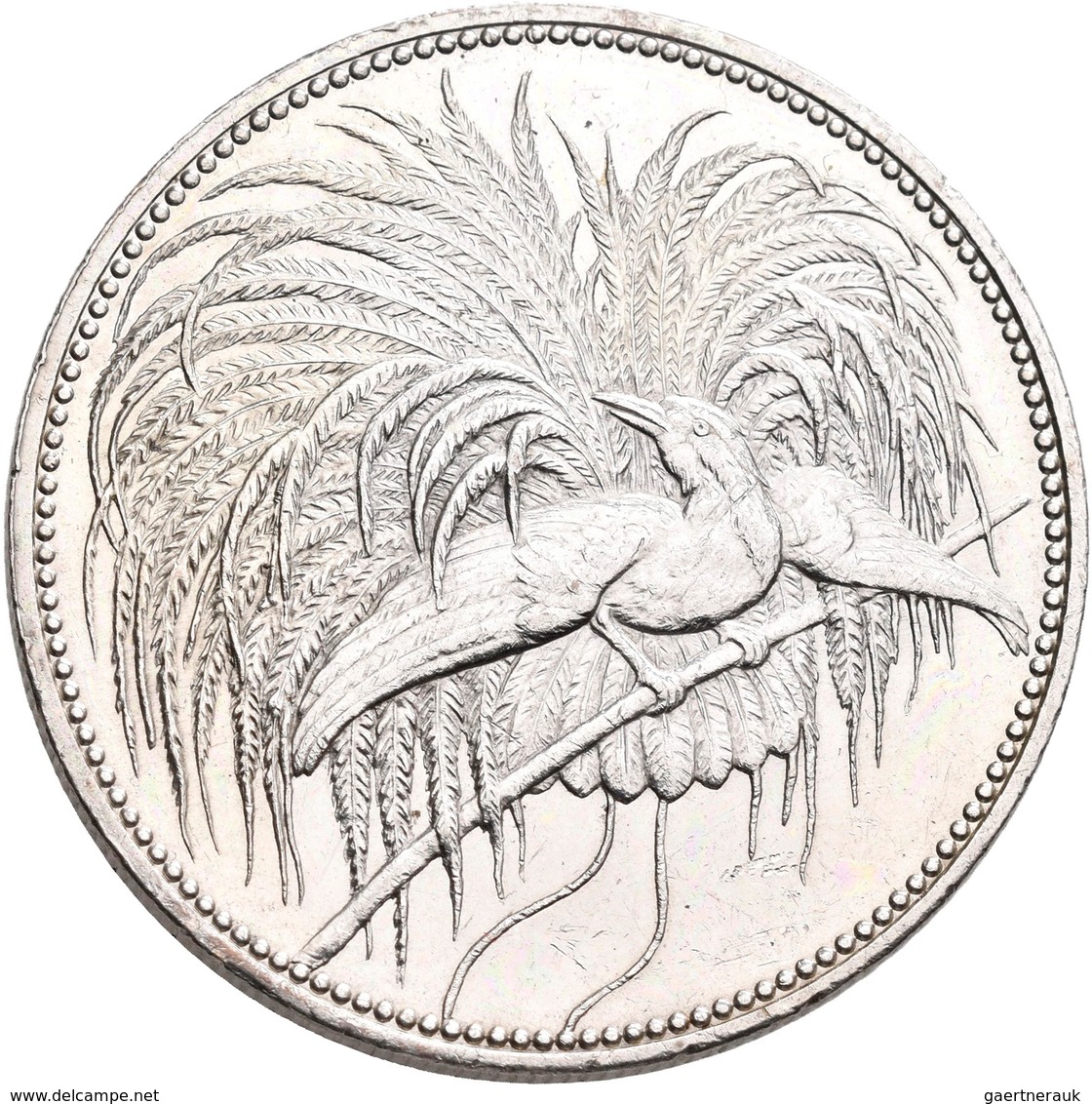 Deutsch-Neuguinea: 5 Neu-Guinea Mark 1894 A, Paradiesvogel, Jaeger 707, Feine Kratzer, Spiegelnde Fe - Duits Nieuw-Guinea