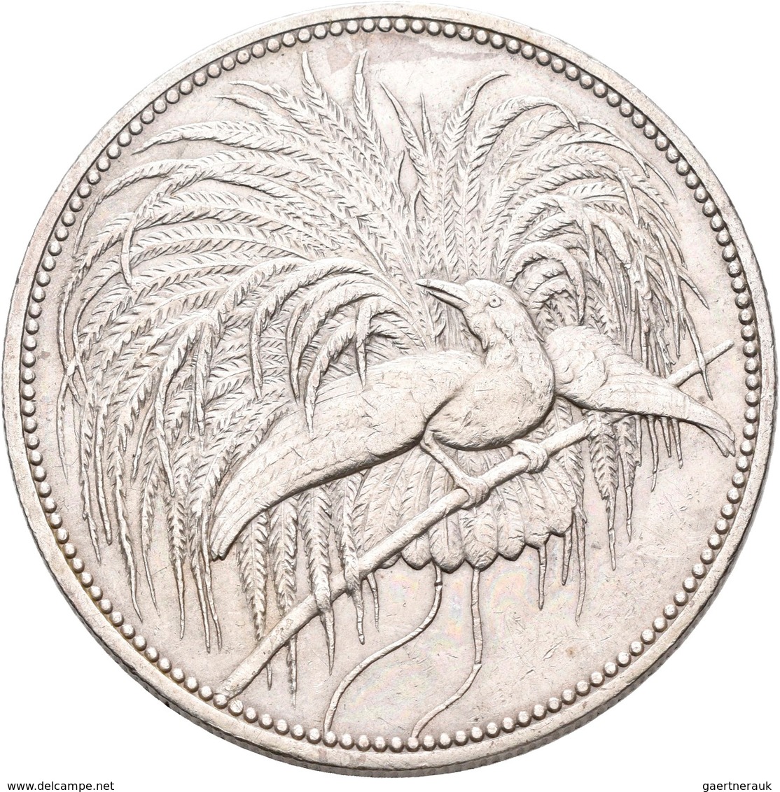 Deutsch-Neuguinea: 5 Neu-Guinea Mark 1894 A, Paradiesvogel, Jaeger 707, Kratzer, Sehr Schön - Vorzüg - Duits Nieuw-Guinea