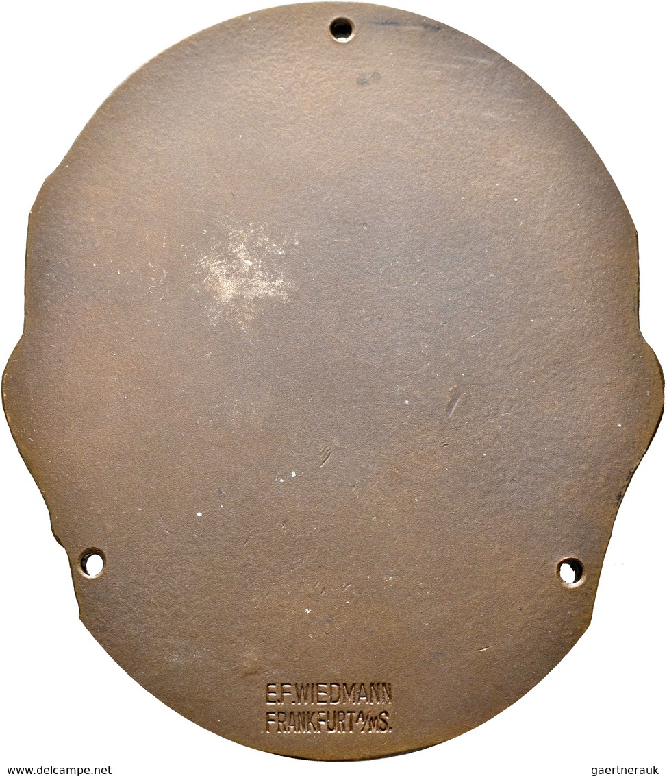 Medaillen Deutschland: Frankfurt A.M.: Einseitige Bronzeplakette O.J. (1929) Vom E. F. Wiedmann. Auf - Andere & Zonder Classificatie