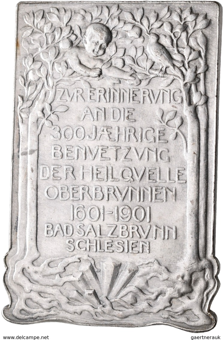 Medaillen Deutschland: Schlesien, Bad Salzbrunn: Versilberte Bronzeplakette 1901, Von Kraumann, Gepr - Autres & Non Classés