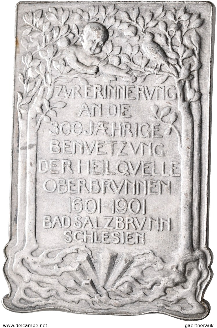 Medaillen Deutschland: Schlesien, Bad Salzbrunn: Versilberte Bronzeplakette 1901, Von Kraumann, Gepr - Sonstige & Ohne Zuordnung