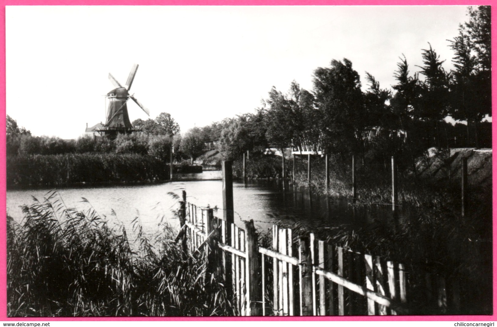 Dordrecht - Langs Oranjelaan Naar Noordendijk Molen De Nachtegaal Omstreeks 1910 - Foto W. MEIJERS - Edit. KOOS VERSTEEG - Dordrecht