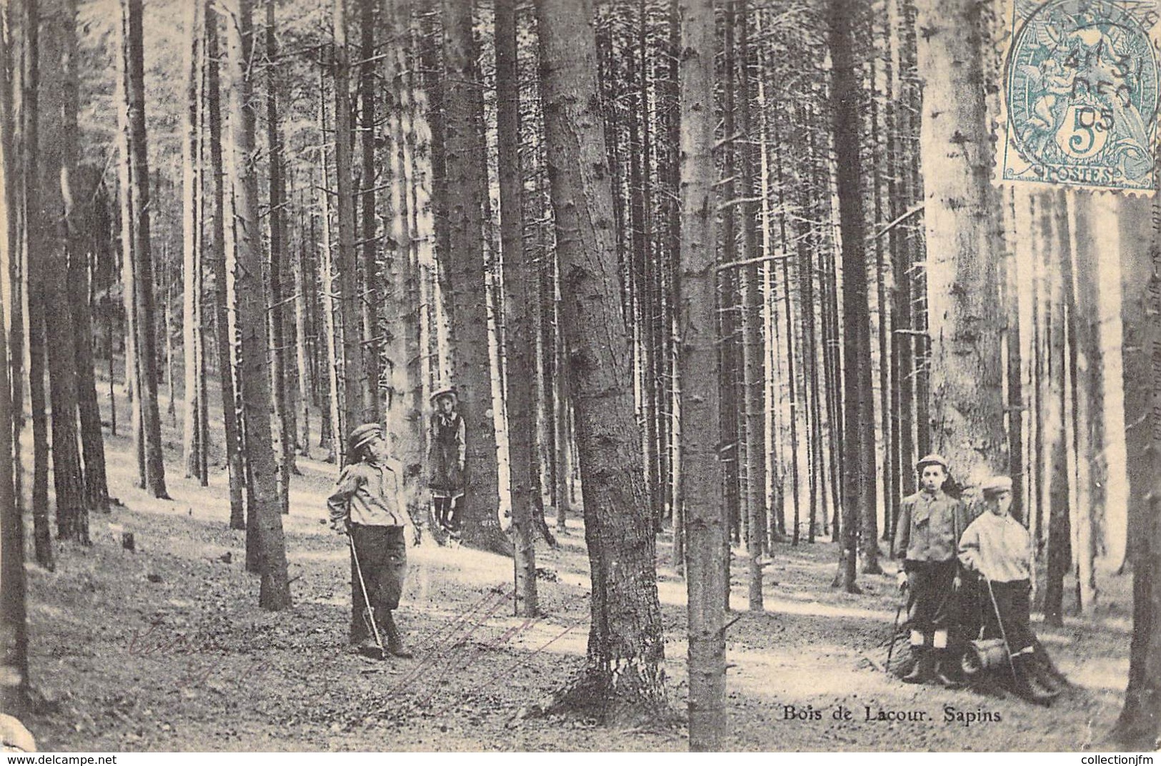 CPA FRANCE 07 "Saint Agrève, Bois De Lacour" - Autres & Non Classés