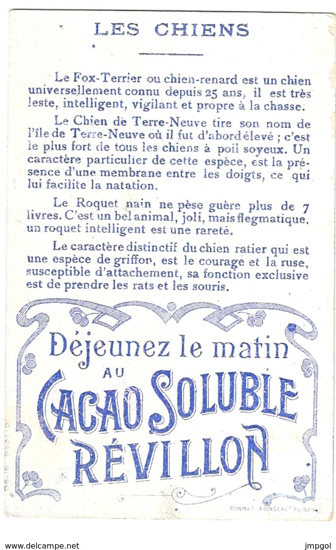Chromos Cacao Revillon Les Chiens Fox Terrier Carlin Terre Neuve Berger Roquet Nain - Revillon