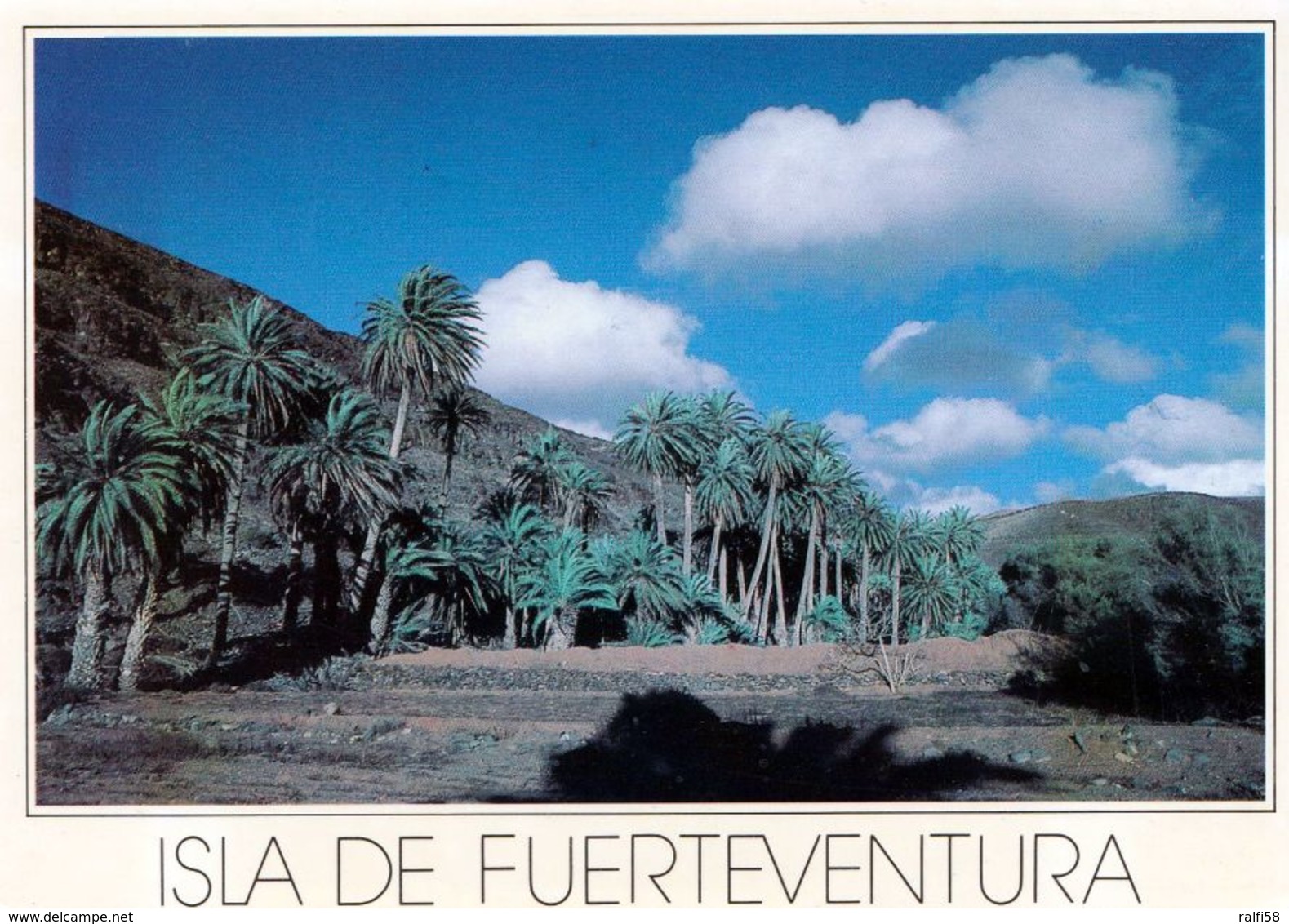 4 AK Fuerteventura * 4 Ansichtskarten Der Kanareninsel Fuerteventura - Siehe Scans * - Fuerteventura