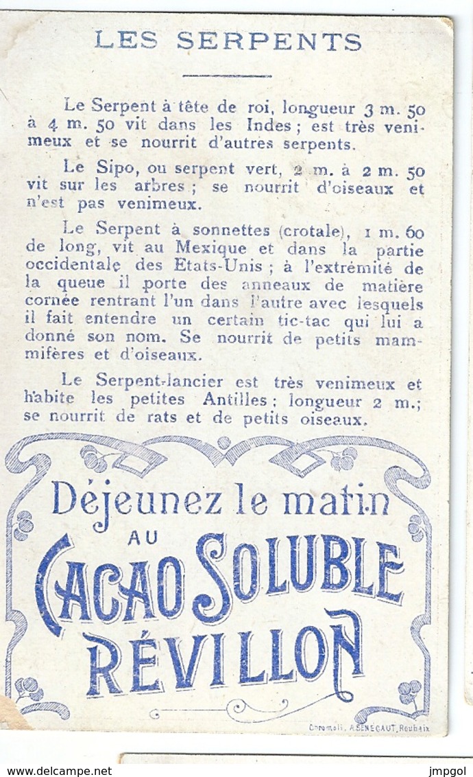 Chromos Cacao Revillon  Les Serpents Sipo Serpent à Sonnettes Tête De Roi Vipère Colérique Serpent Lancier - Revillon