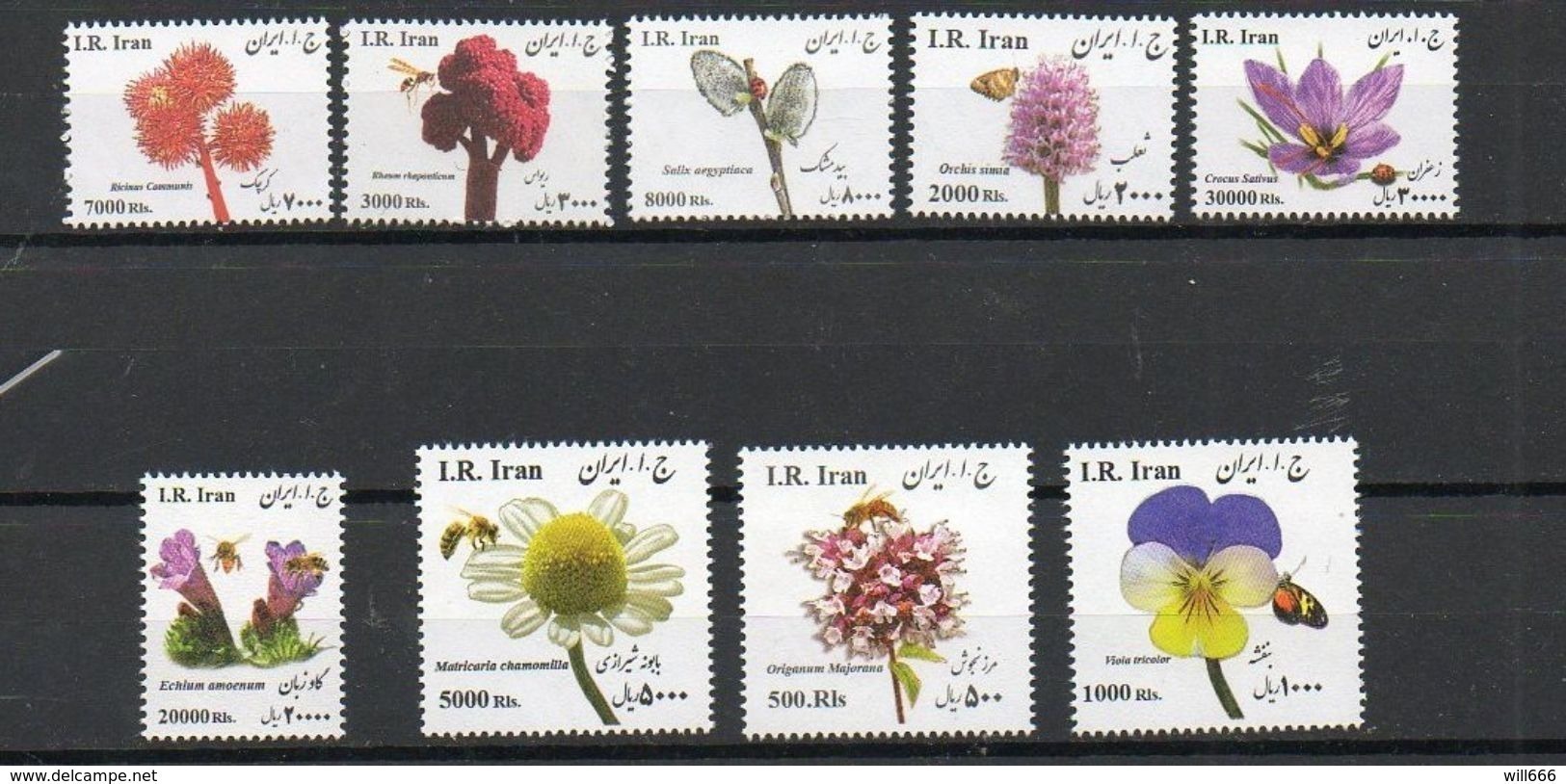 2016 IRAN  - Butterflies, Bees - Butterflies