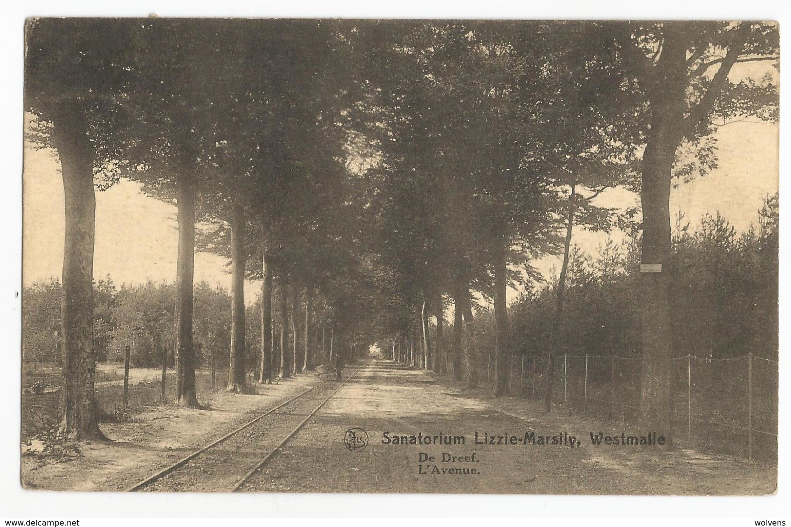 Westmalle Sanatorium Lizzie-Marsily De Dreef Oude Postkaart Malle - Malle