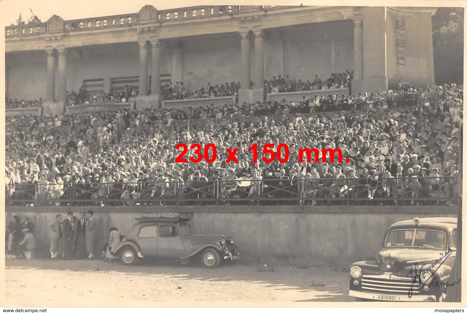 Namur - Photo Jean Lemaire - Stade De La Citadelle, Animée, Oldtimer - Dim. 230 X 150 Mm. - Lieux