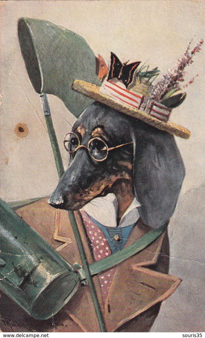 Chien Humanisé CPA 1904  Illustrateur Müller München Chien Avec Manteau, Lunettes, Chapeau, Filet à Papillons... - Hunde