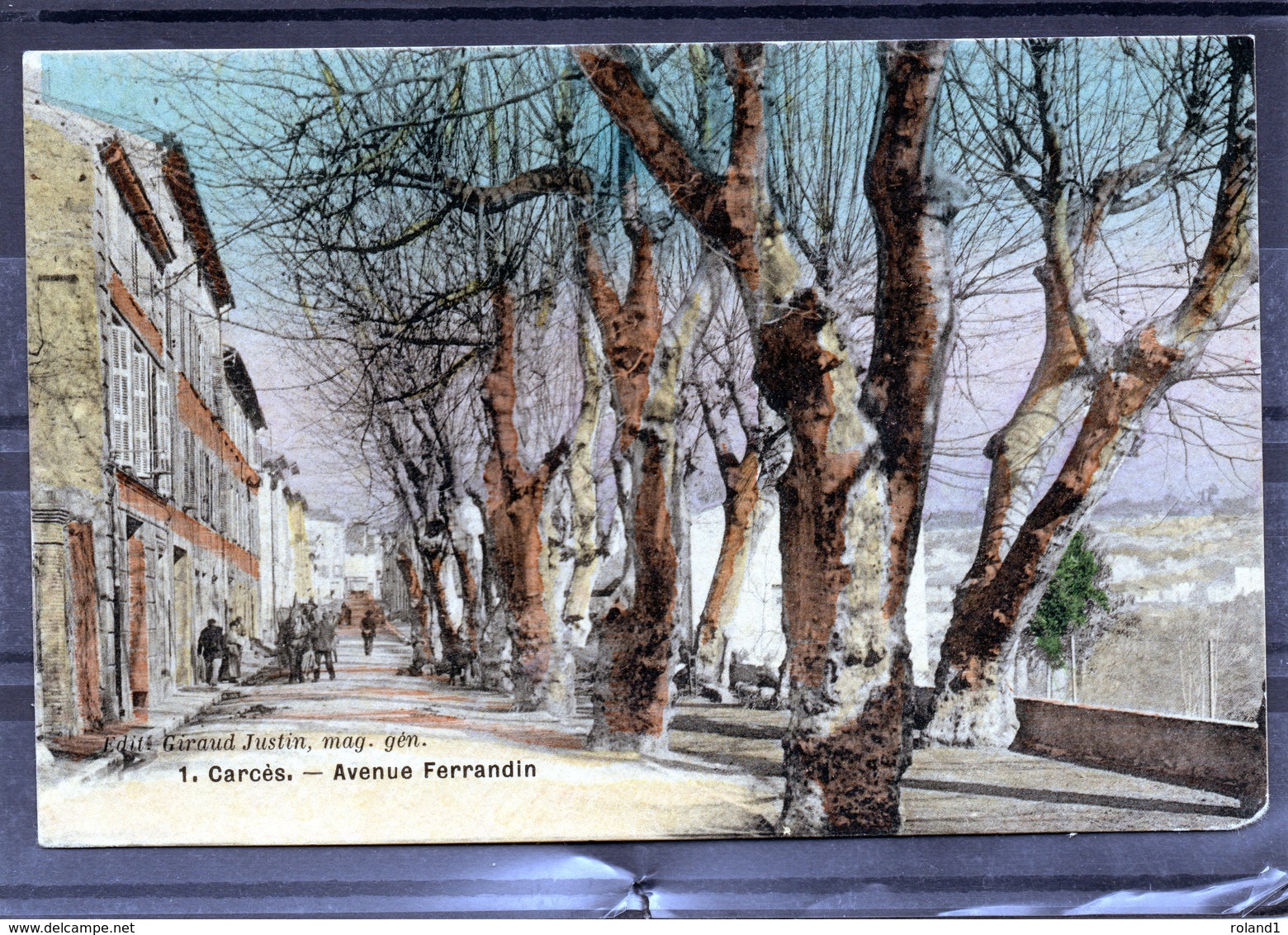 Carcès - Avenue Ferrandin(carte Colorisée - Aspect Glacé) - Carces