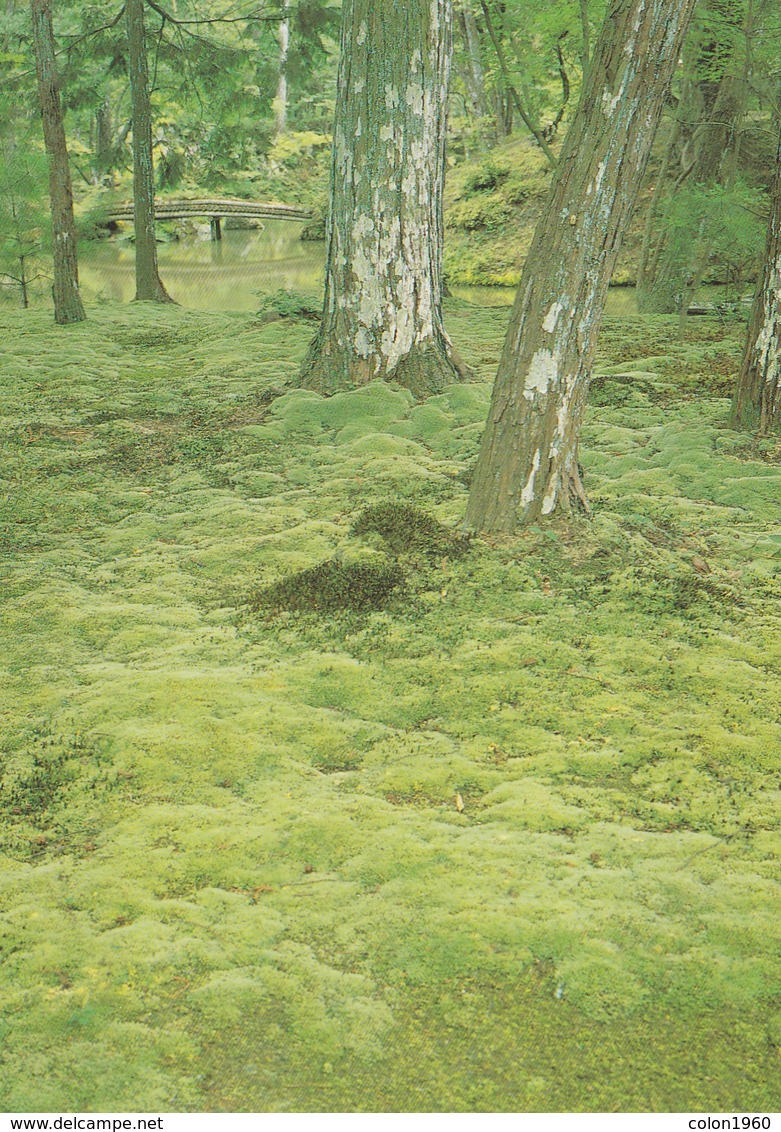 POSTAL DE JAPON, KYOTO. GARDEN OF MOSS TEMPLE. (837). ESCRITA. - Kyoto