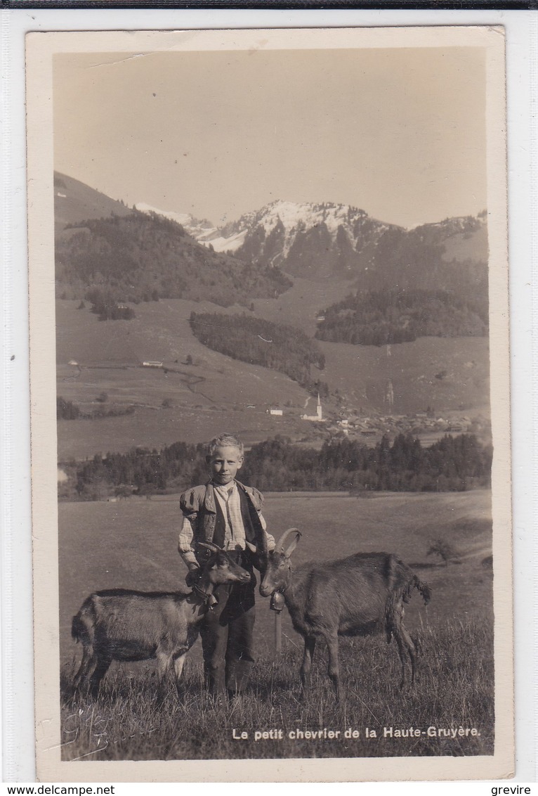 Lessoc, Petit Chevrier De La Haute-Gruyère / Ziegen / Goats - Lessoc