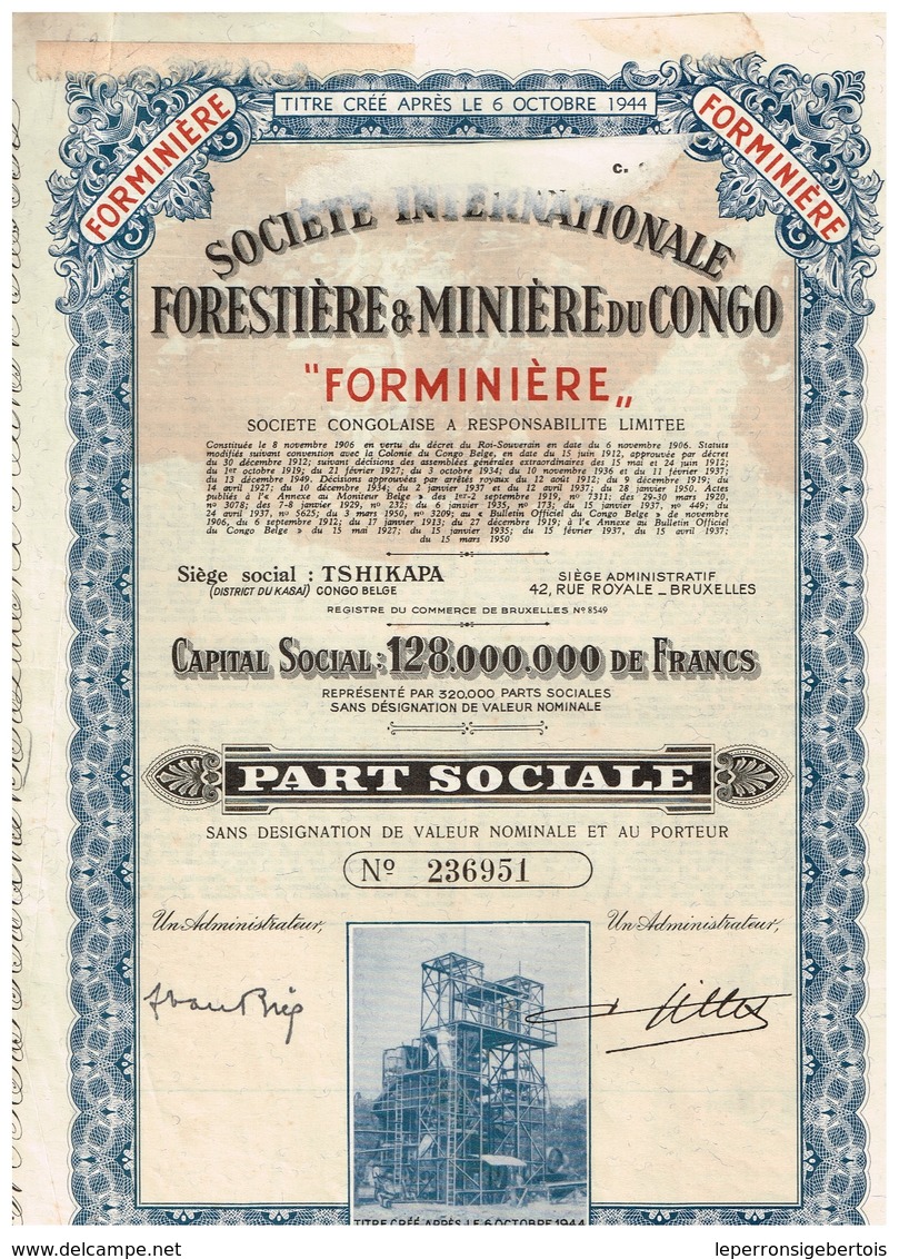 Titre Ancien - Société Internationale Forestière & Minière Du Congo "FORMINIERE" - Titre De 1950  N° 236951 - Afrika