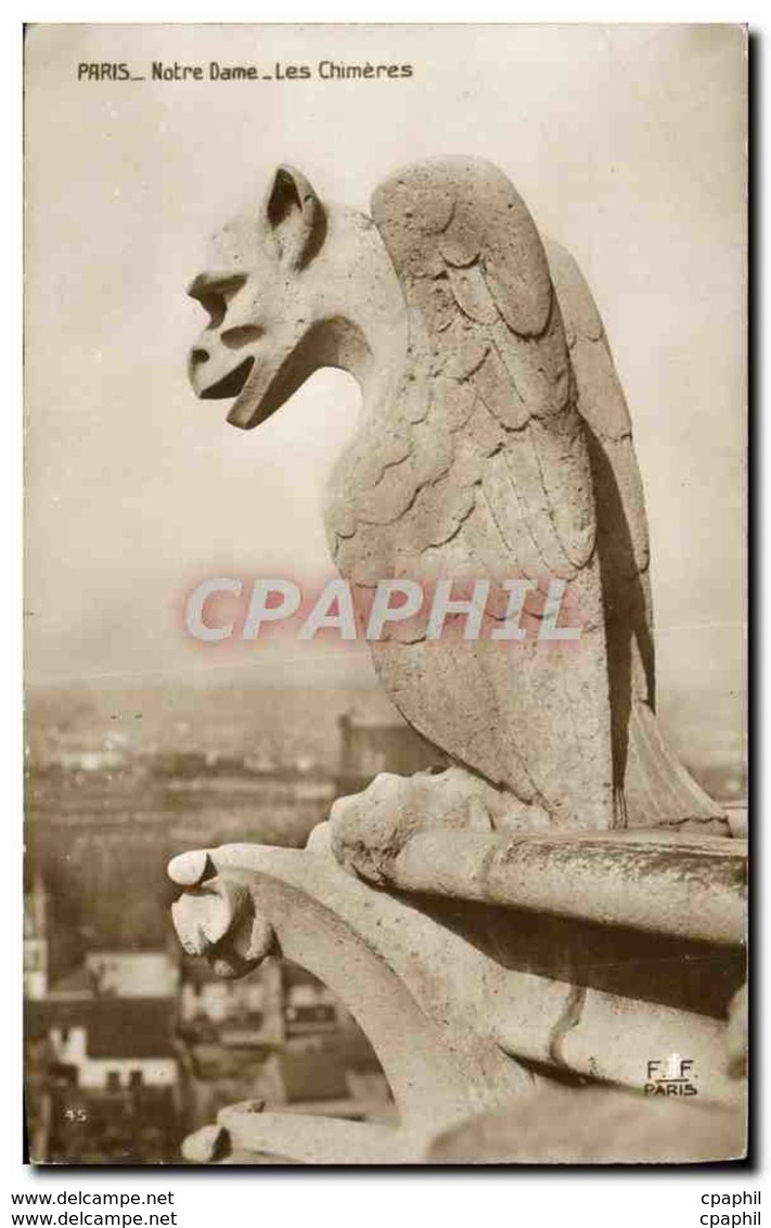 CPA Paris Notre Dame Les Chimeres - Notre-Dame De Paris