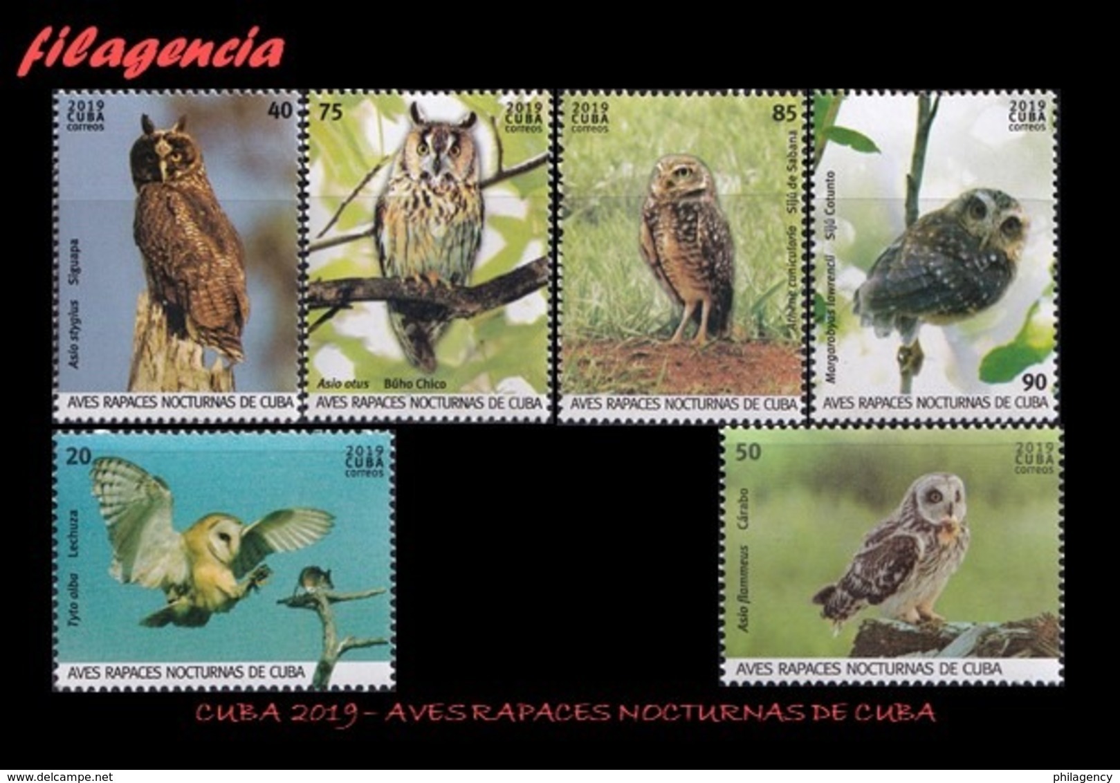 CUBA MINT. 2019-22 AVES RAPACES NOCTURNAS CUBANAS - Ongebruikt