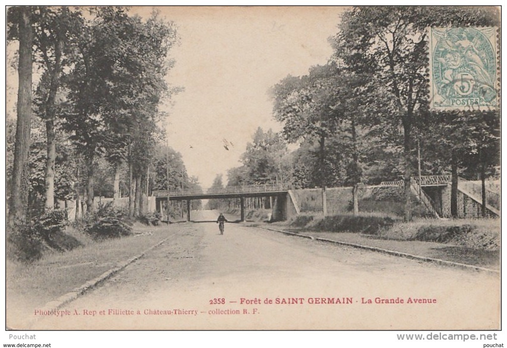 L18- 78)  FORET DE SAINT GERMAIN EN LAYE -  LA GRANDE AVENUE - St. Germain En Laye