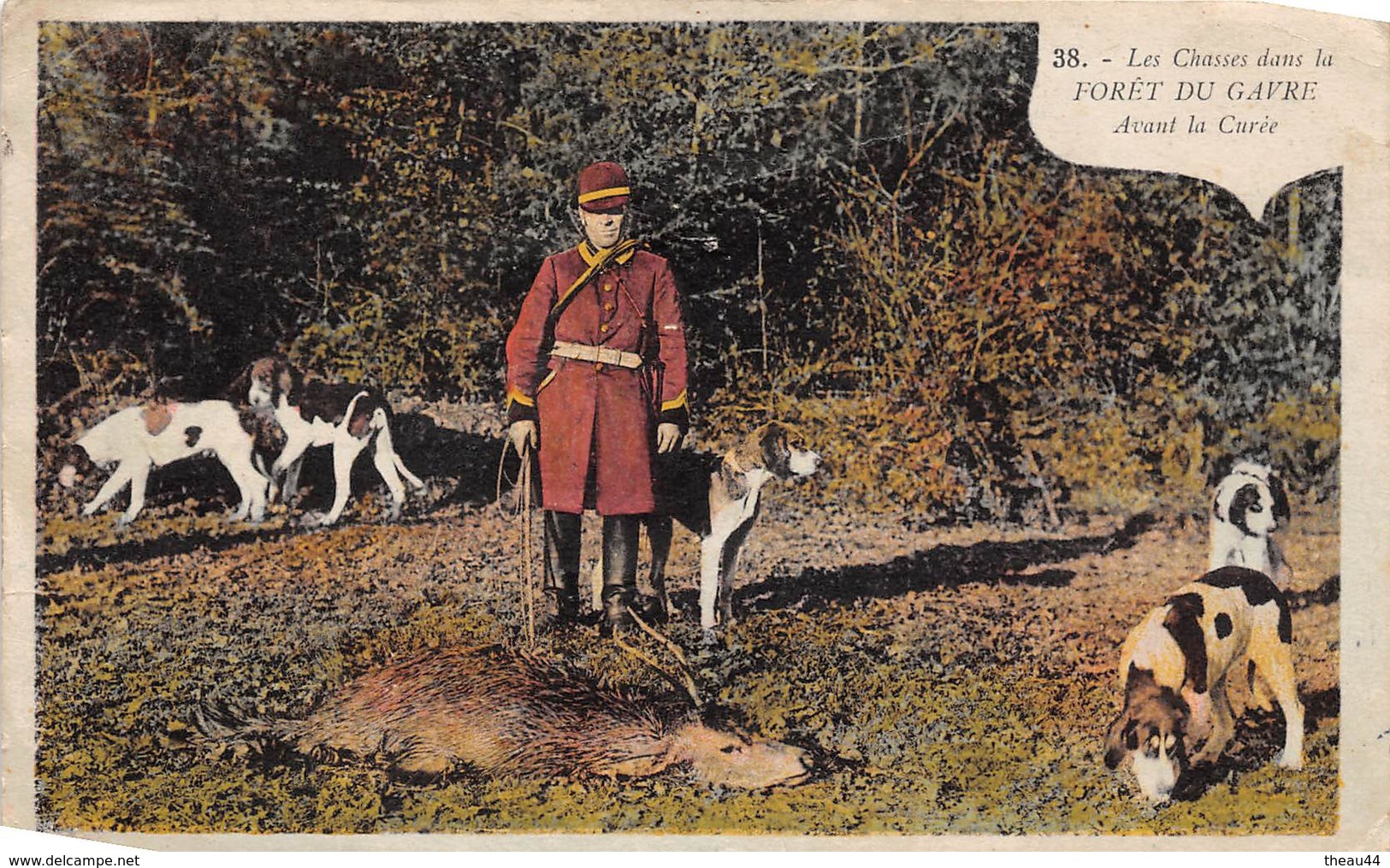 ¤¤  -   Les Chasses Dans La Forêt Du GAVRE  -  Avant La Curée   -  Chiens , Chasse à Courre    -   ¤¤ - Le Gavre