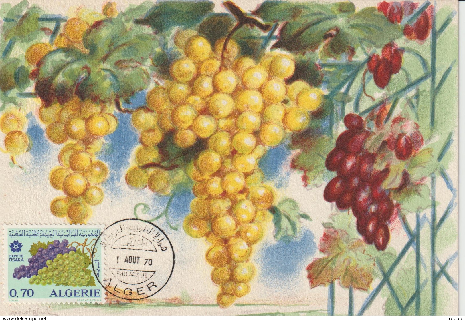 Algérie Carte Maximum Fruits 1970 Raisins 516 - Algerije (1962-...)