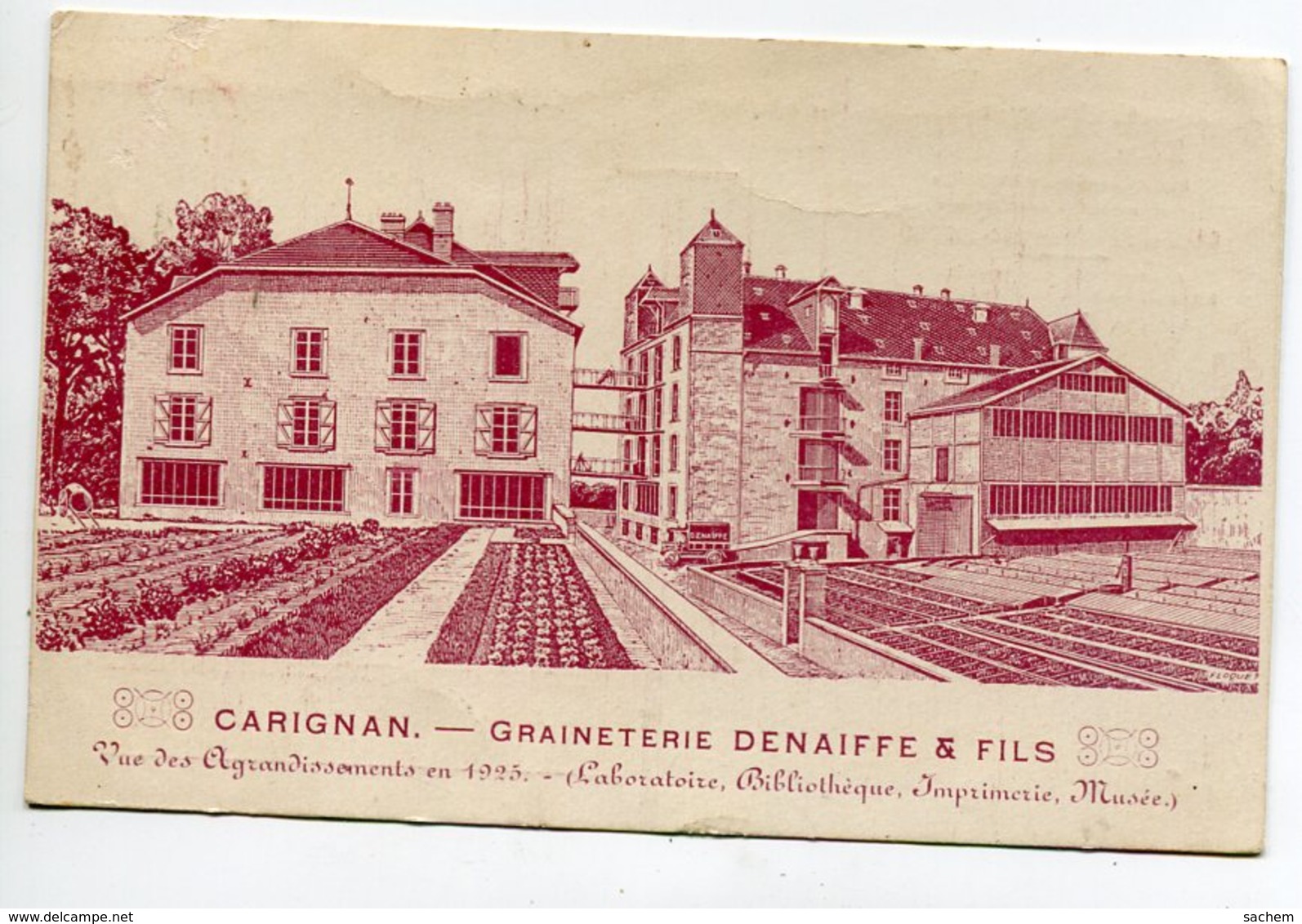 08 CARIGNAN Publicité Graineterie DENAIFFE Et Fils Vue Aggrandissements En 1925 -  Carte De Commande    D20 2019 - Other & Unclassified