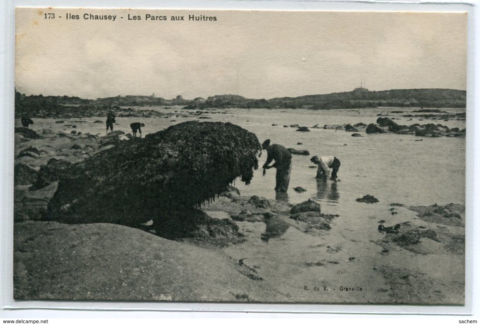 50 ILES CHAUSEY Carte RARE Les Parcs à Huitres Pecheurs  No 173 Edit R Du V  - 1910      D20 2019 - Other & Unclassified