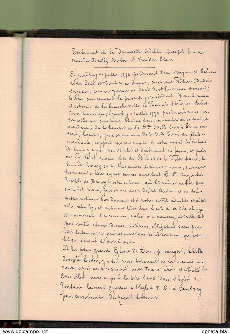 Familles Van Den Steen, Haeghe, Tison, Clabotteau, ...  Des Régions De Gosselies, Jumet, Lobbes, Fontaine-l'Evêque,... - Manuscripts