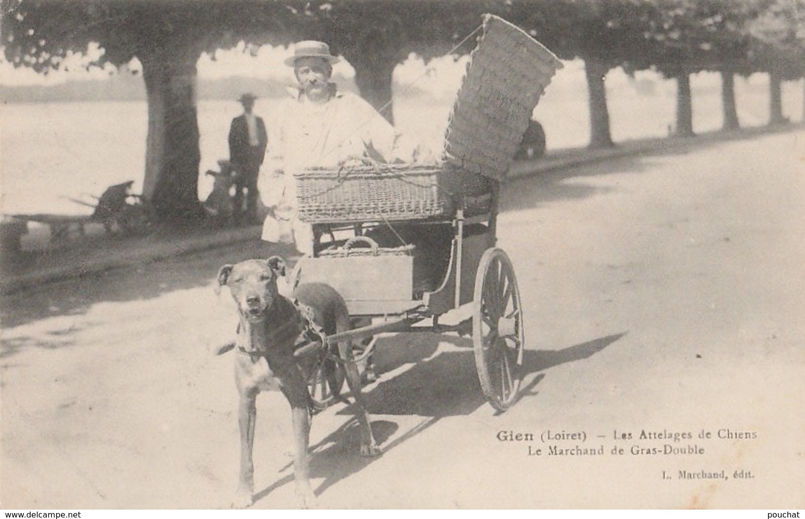 U15-45) GIEN (LOIRET) LES  ATTELAGES  DE CHIENS - LE MARCHAND DE  GRAS  DOUBLE - (VOITURE A CHIEN - 2 SCANS - Gien