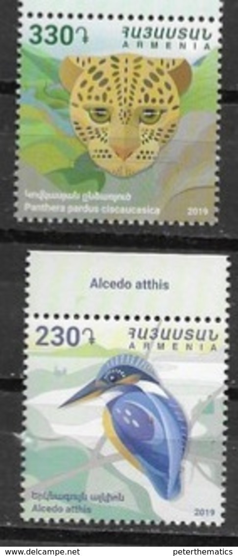 ARMENIA, 2019, MNH,FAUNA, FELINES, BIRDS, PANTHER, KINGFISHERS, 2v - Other & Unclassified