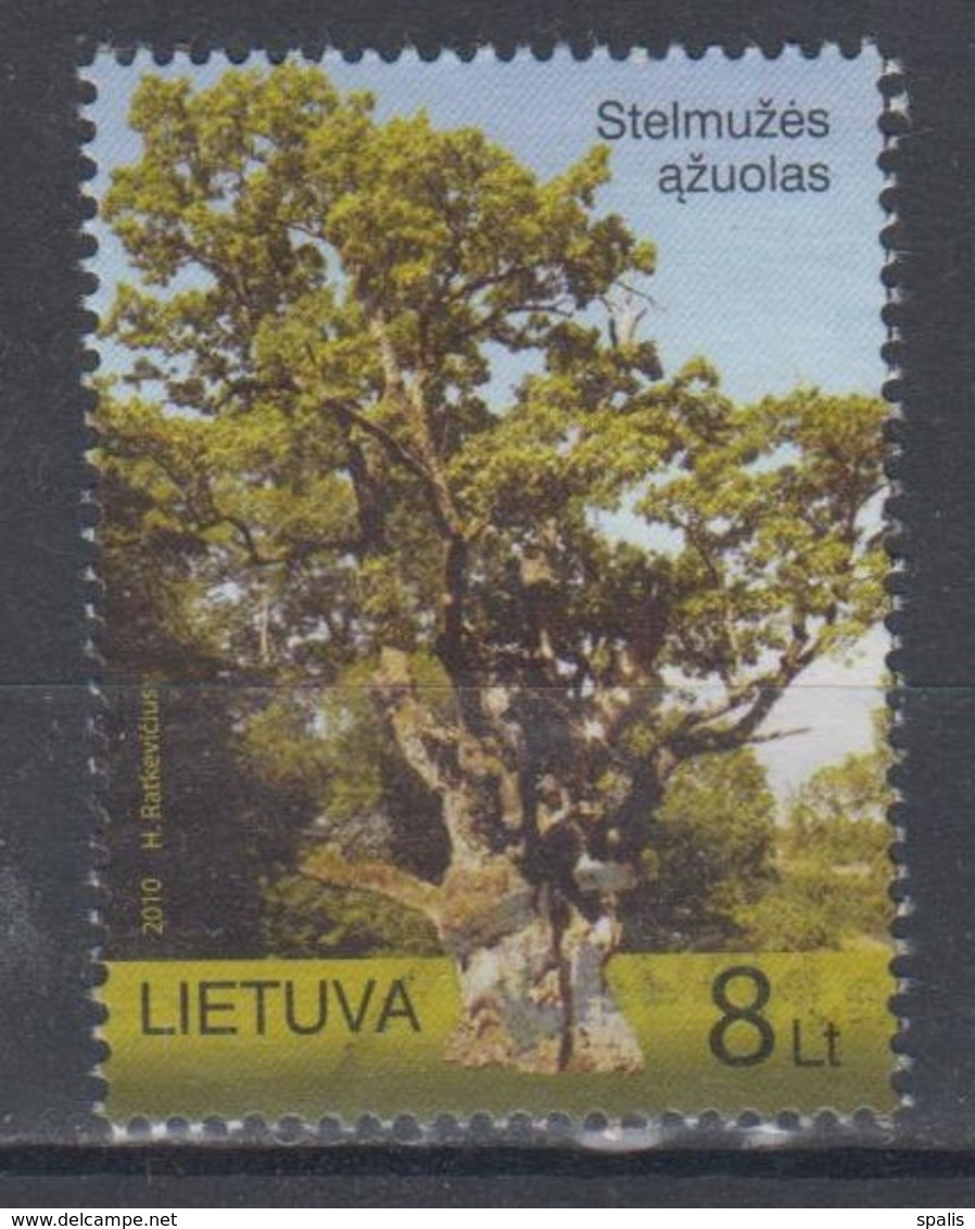 Lithuania 2010 Mi 1040 Used Oldest Oak - Lituanie