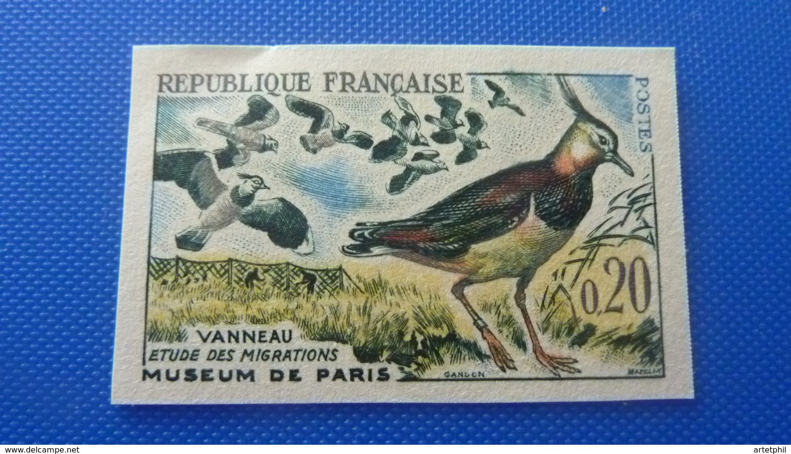 FRANCE Série Oiseaux - Non Classés