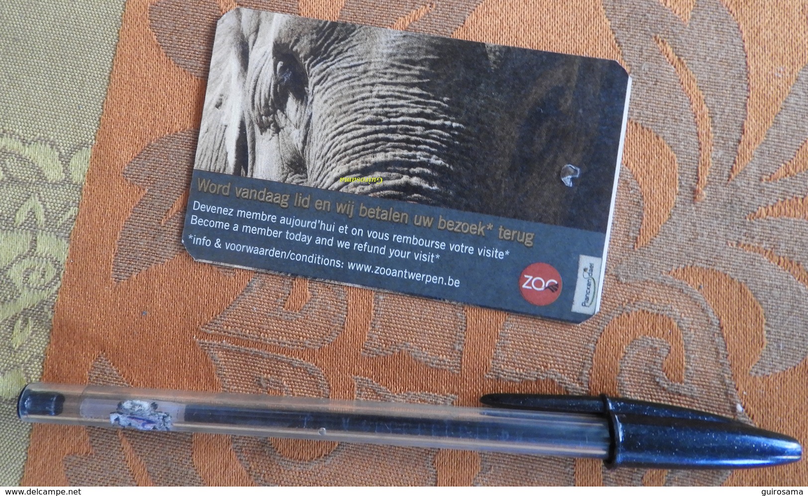 Ticket Du Zoo D'Anvers : Elephant - 2010 - Tickets - Vouchers