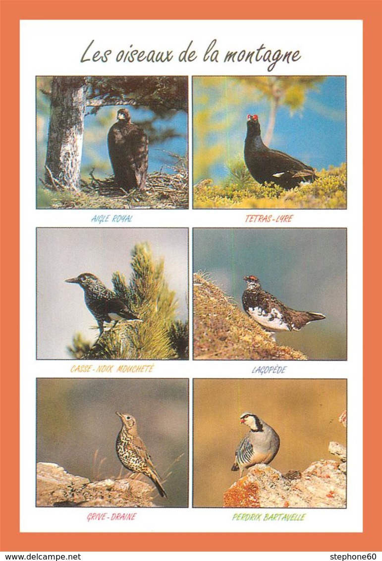 A677 / 653  Oiseau De La Montagne Multivues - Autres & Non Classés