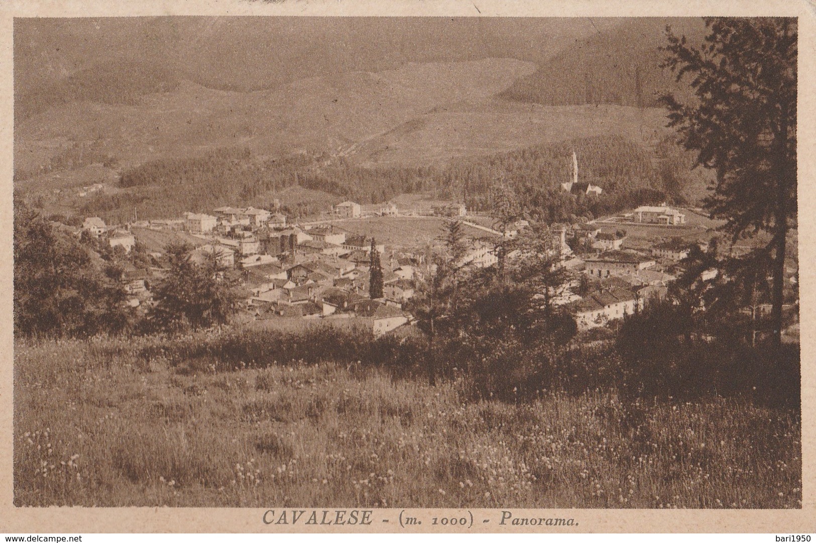 CAVALESE -( M.1000) - Panorama - Trento